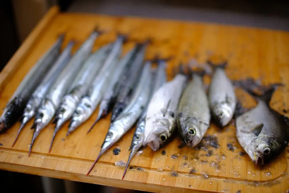 Fresh catch from Ocean Fishing Experience