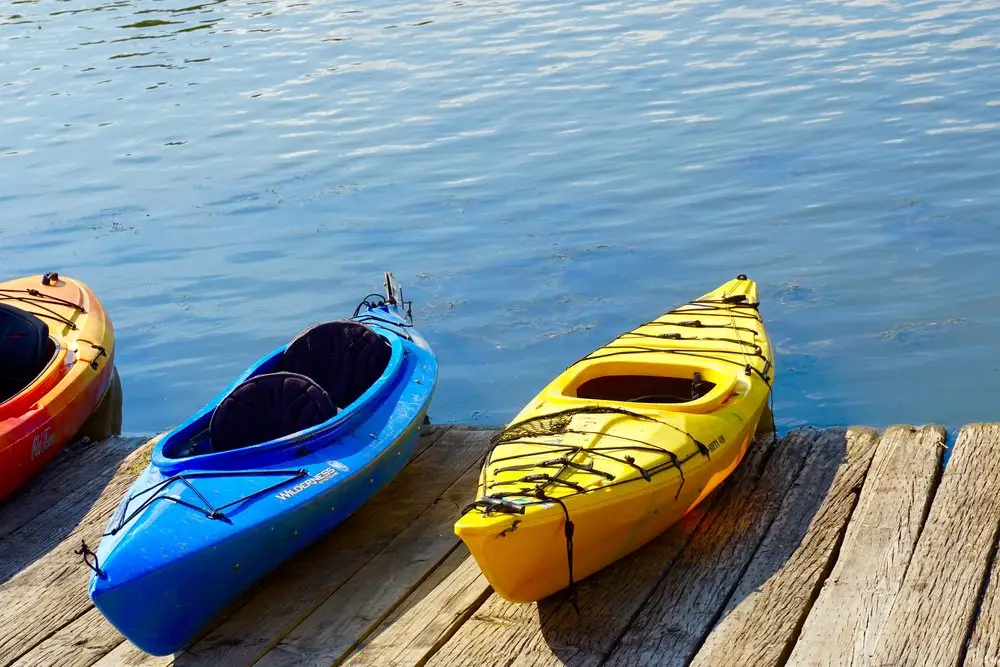 Kayak Tours
